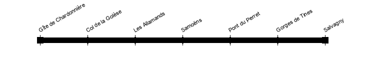 salvagny